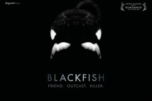 widemodern_blackfish_072213620x413